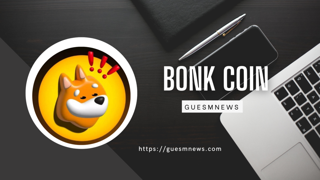 bonk coin