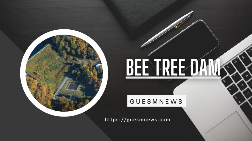bee tree dam